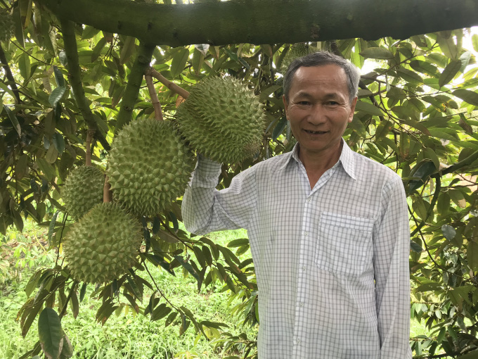 ĐBSCL: Do đâu giá sầu riêng tăng cao kỷ lục? - Ảnh 2.