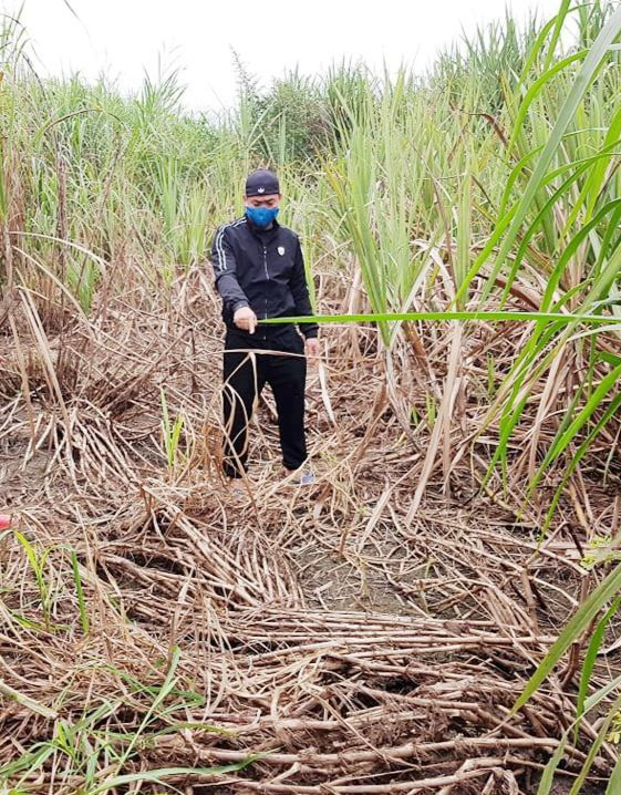 Dân dựng lều ngày đêm &quot;canh&quot; nhà máy nghi xả thải gây ô nhiễm - Ảnh 2.