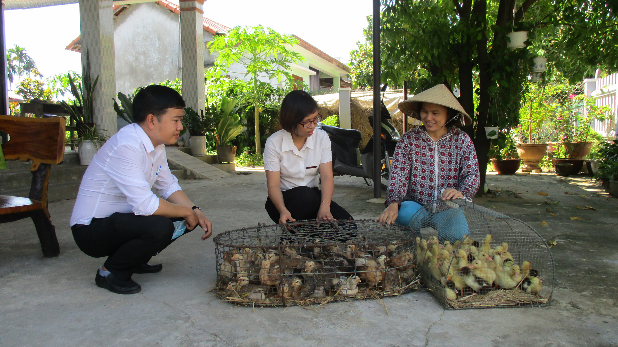 Nông dân vẫn còn lắm nỗi lo khi đầu tư vào nông nghiệp - Ảnh 1.