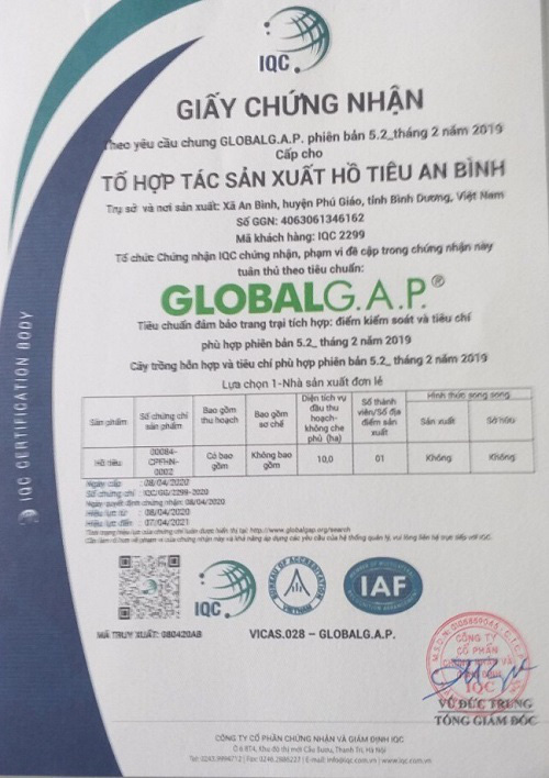 Bình Dương: Nhiều nơi sót ruột vì giá tiêu thấp tè, sao nông dân trồng hồ tiêu ở xã này vẫn &quot;bình chân như vại&quot;? - Ảnh 4.