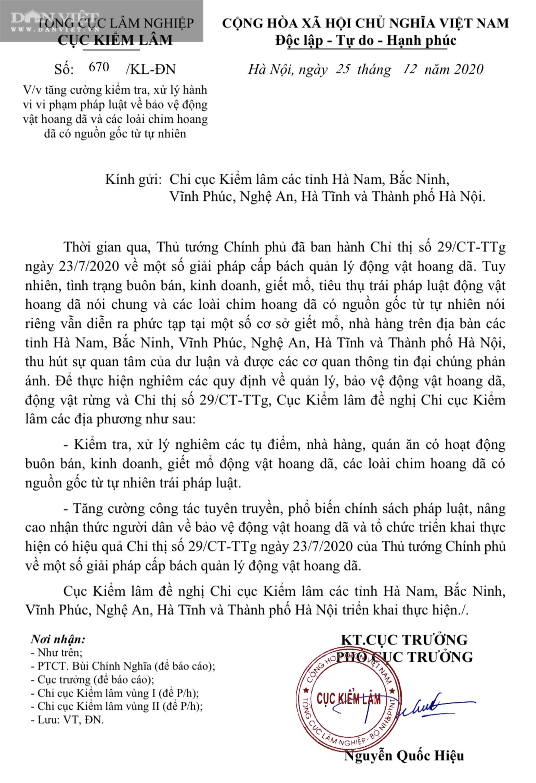 Cục Kiểm lâm chỉ đạo nóng sau loạt bài “Đột kích” các tổng kho “hành quyết” chim trời” của Dân Việt - Ảnh 1.