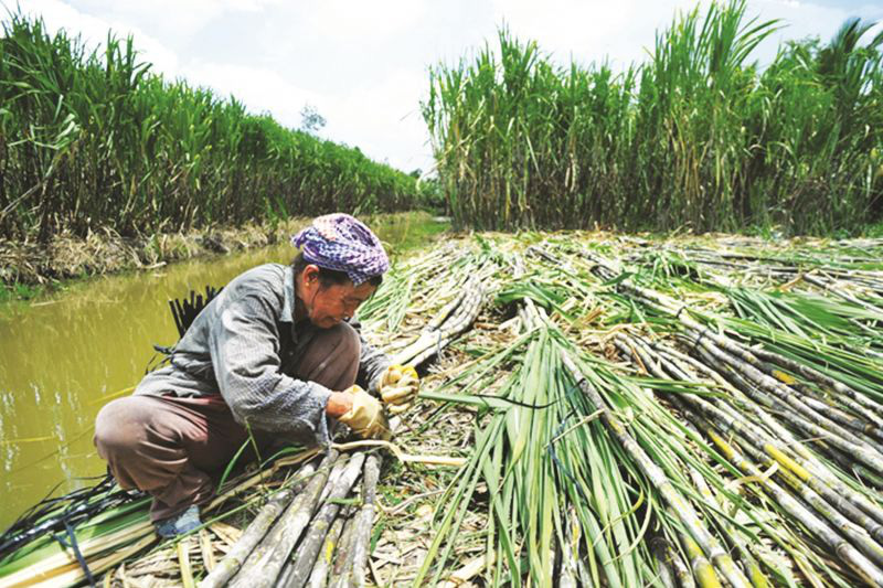 
10 sự kiện kinh tế nổi bật năm 2020 - Ảnh 10.