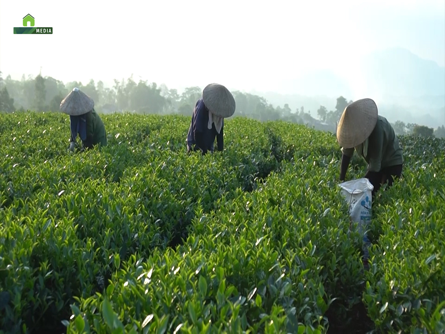 Tọa đàm: Tăng cường xây dựng kỹ năng nghề trong ngành nông nghiệp - Ảnh 2.