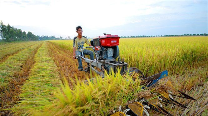 Năm 2021, cán bộ, công chức không được mua đất nông nghiệp? - Ảnh 1.