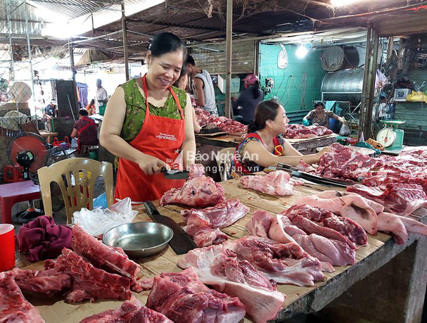 Lợn đặc sản miền Tây Nghệ An khan hiếm, giá 200.000 đồng/kg - Ảnh 4.