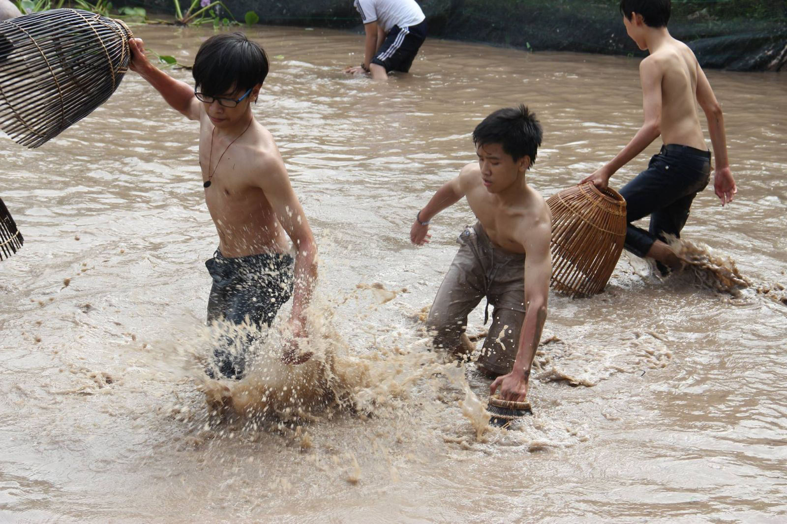 Bàn giải pháp phát triển trang trại, HTX kết hợp du lịch nông nghiệp - Ảnh 3.