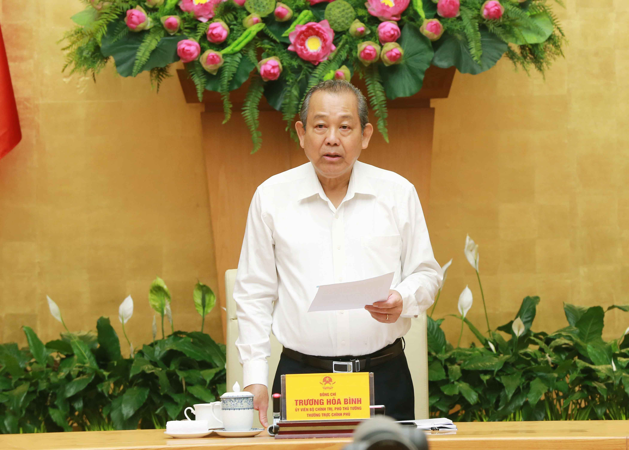 Phó Thủ tướng Trương Hòa Bình: 2021 là năm bản lề trong khát vọng đưa Việt Nam thành nước phát triển - Ảnh 1.
