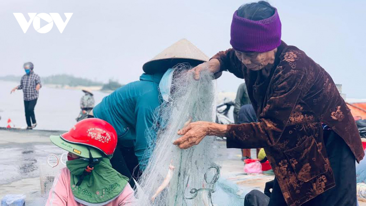 Rộn ràng ra khơi săn loại cá đặc sản, ngư dân Hà Tĩnh thu tiền triệu mỗi ngày - Ảnh 3.