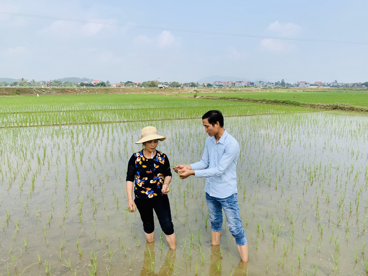 Vinaseed: Đưa tiến bộ Khoa học kỹ thuật tới gần 20.000 lượt hội viên nông dân - Ảnh 4.