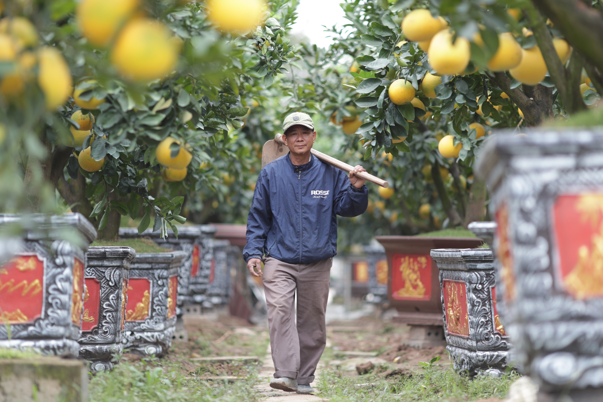 Quỹ Hỗ trợ nông dân đón nhận Huân chương Lao động hạng Nhất - Ảnh 4.