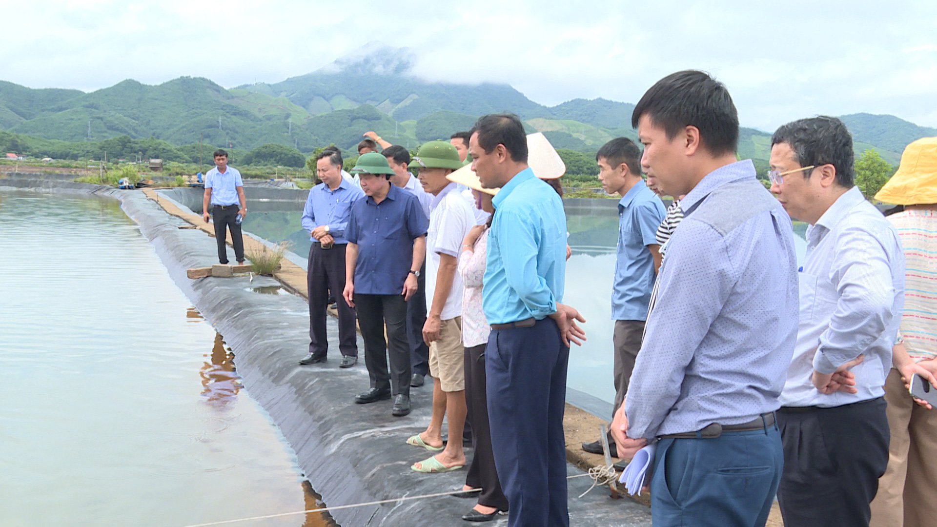 Thứ trưởng Bộ NNPTNT Lê Quốc Doanh khảo sát khu nông nghiệp ứng dụng công nghệ cao tại Quảng Ninh - Ảnh 3.