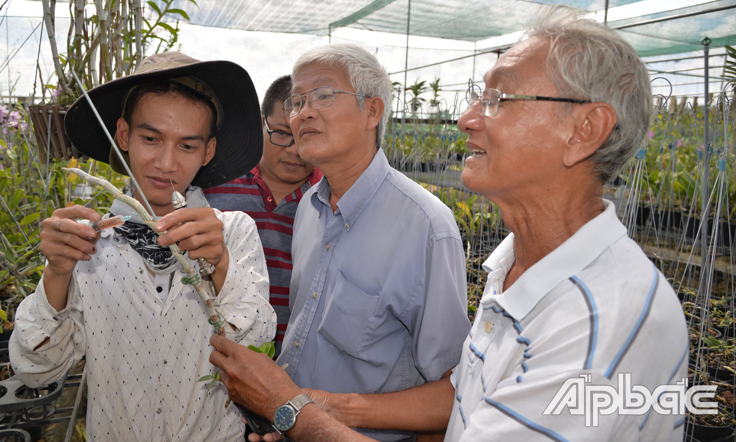 Hé lộ chuyện ông nông dân tỉnh Tiền Giang mua 1 khúc lan giả hạc đột biến 5 cánh trắng Tiểu Vy giá 600 triệu - Ảnh 1.