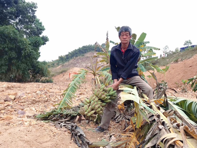 Vỡ kênh Bắc Sông Chu - Nam Sông Mã: PCT UBND tỉnh Thanh Hóa chỉ đạo khắc phục sự cố, hỗ trợ nông dân - Ảnh 1.