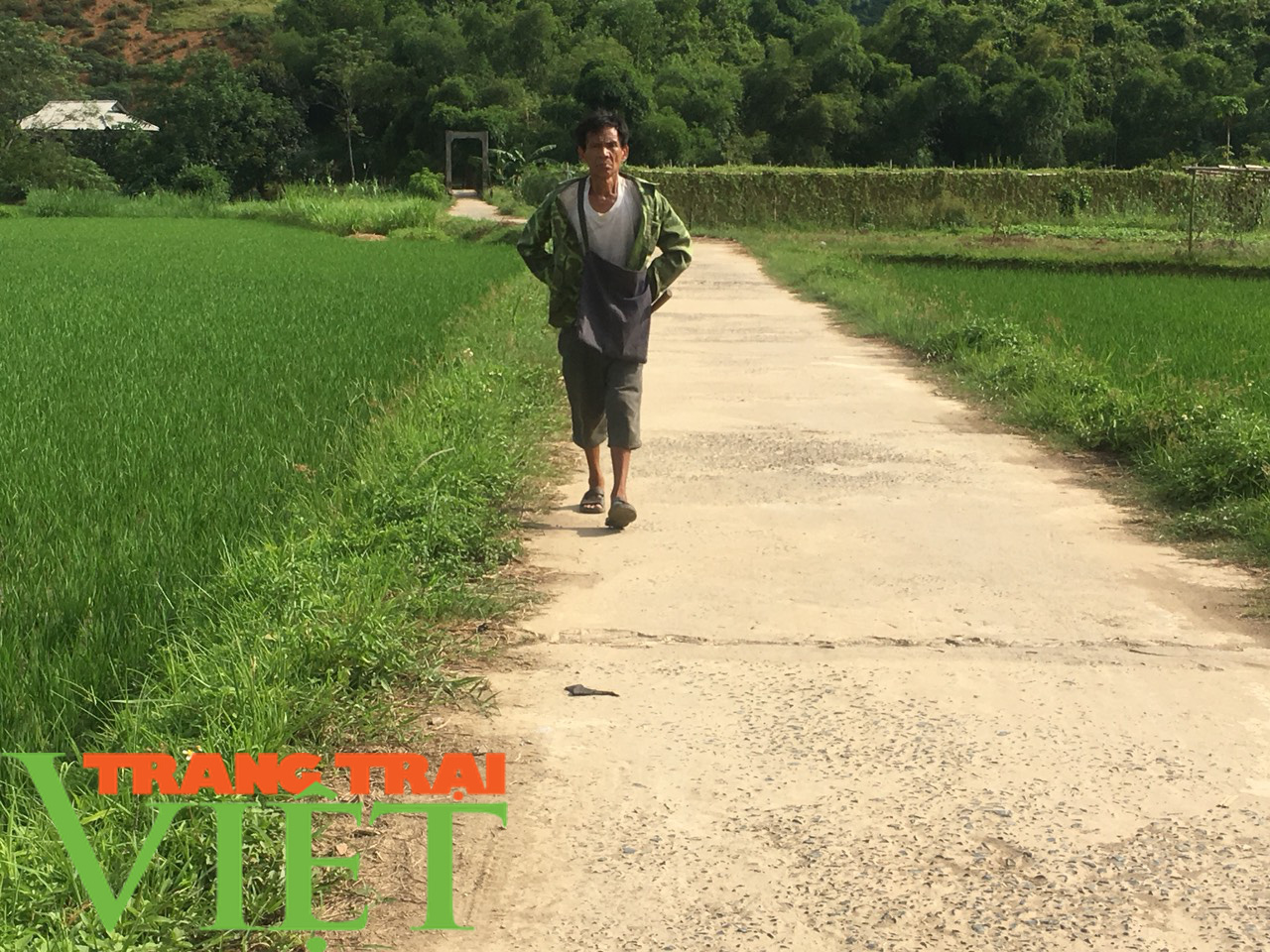 Hội Nông dân Cao Phong: Huy động hội viên hiến đất xây dựng nông thôn mới  - Ảnh 6.
