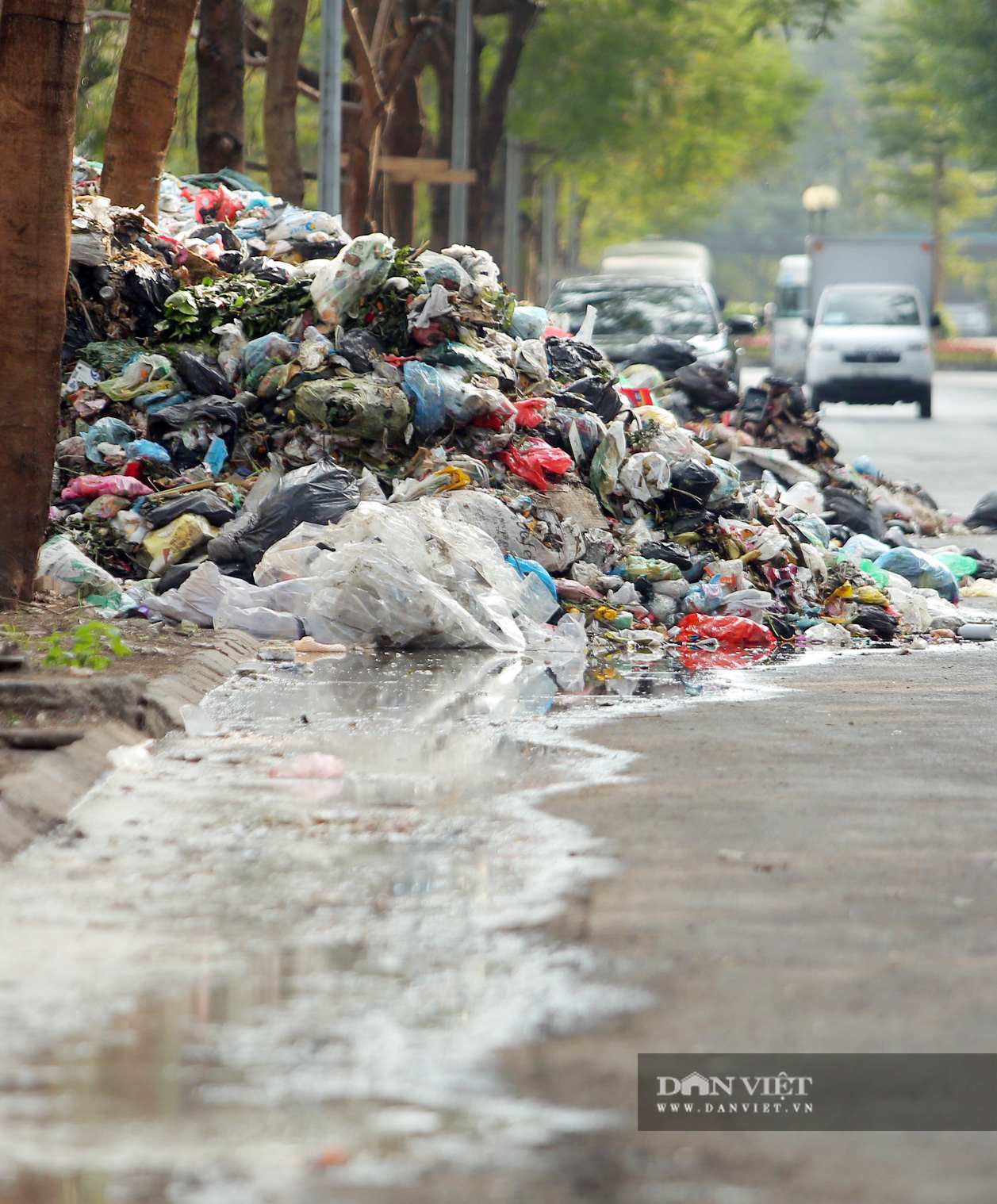 Những bức hình ám ảnh về rác thải nhựa tại bờ biển Việt Nam  baotintucvn
