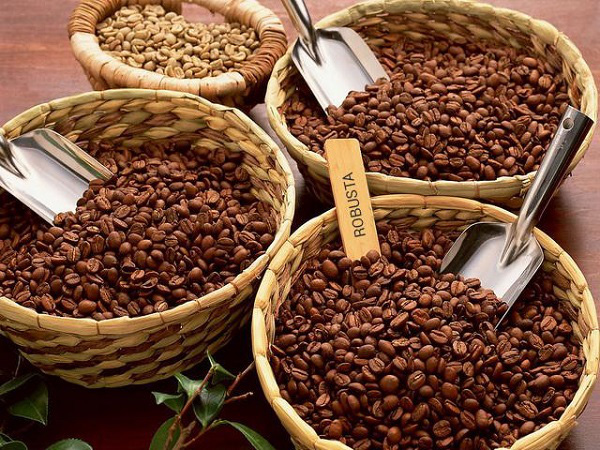Nông dân tích cực bán hàng, giá cà phê Arabica bất ngờ giảm mạnh - Ảnh 1.