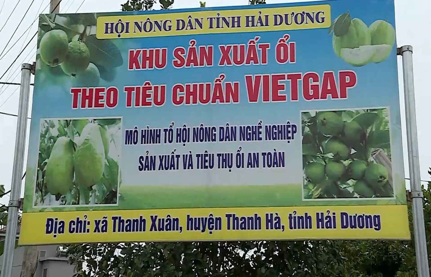 Hà Nam: Hiệu quả mô hình tổ hội nông dân nghề nghiệp sản xuất sản phẩm an toàn - Ảnh 3.