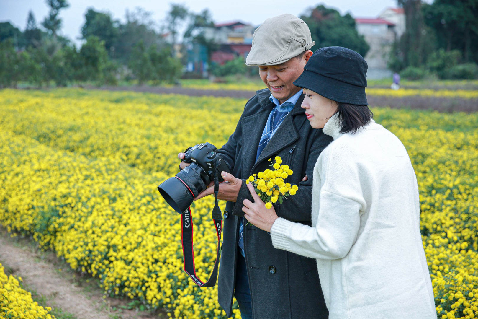 Đầu năm, vào thăm &quot;thủ phủ&quot; cúc tiến Vua miền Bắc vàng óng vàng ả vào mùa thu hoạch - Ảnh 12.