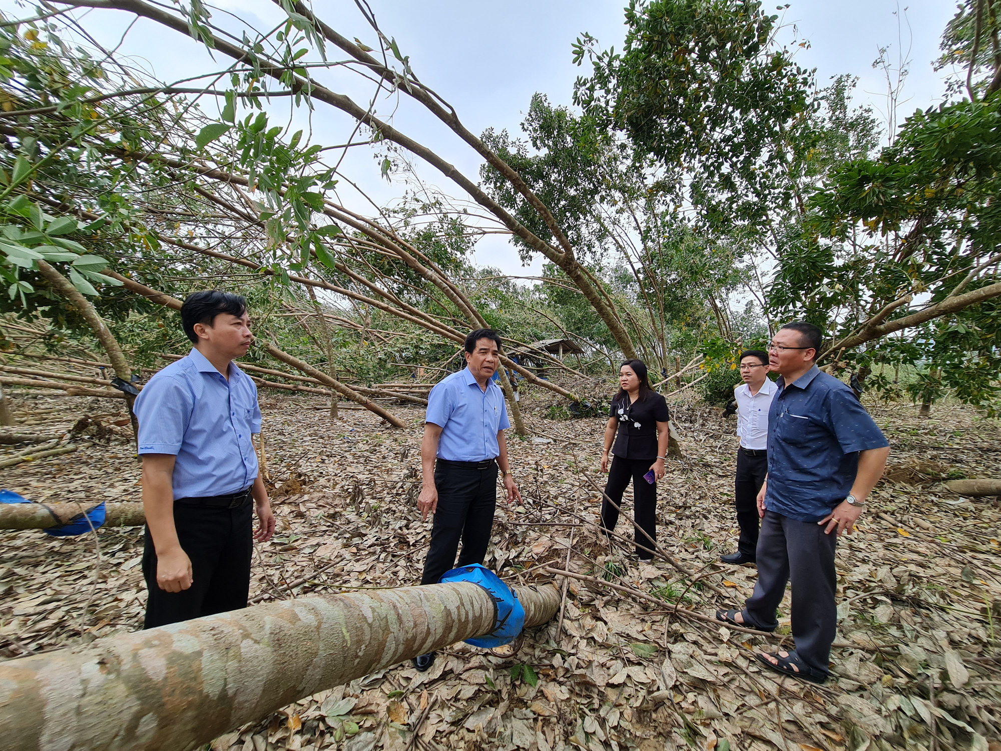 Ngân hàng Nhà nước Việt Nam - Hiến kế giúp người dân miền Trung - Tây Nguyên khắc phục sau bão, lũ - Ảnh 3.