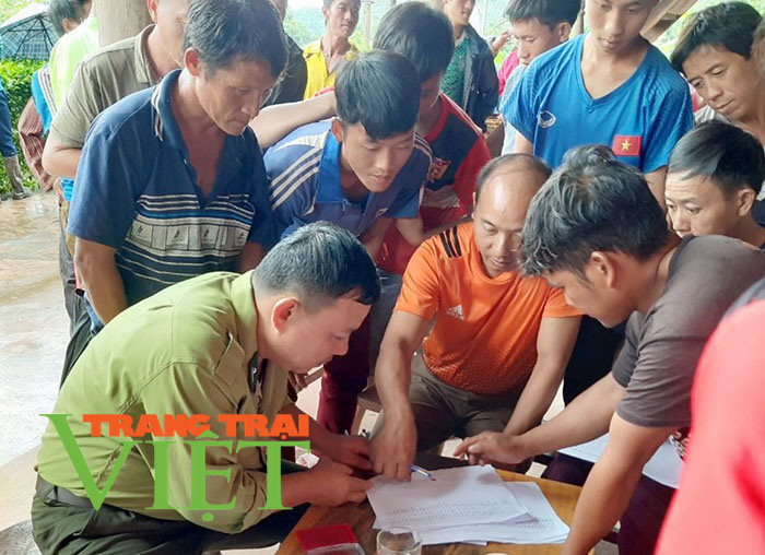 Huyện Nậm Pồ tăng cường quản lý, bảo vệ rừng - Ảnh 1.
