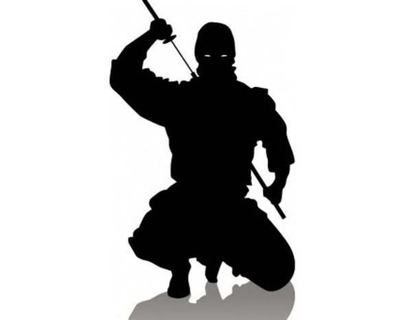 Cuộc đời huy hoàng ninja “xuất quỷ nhập thần” nổi tiếng Nhật Bản - Ảnh 6.