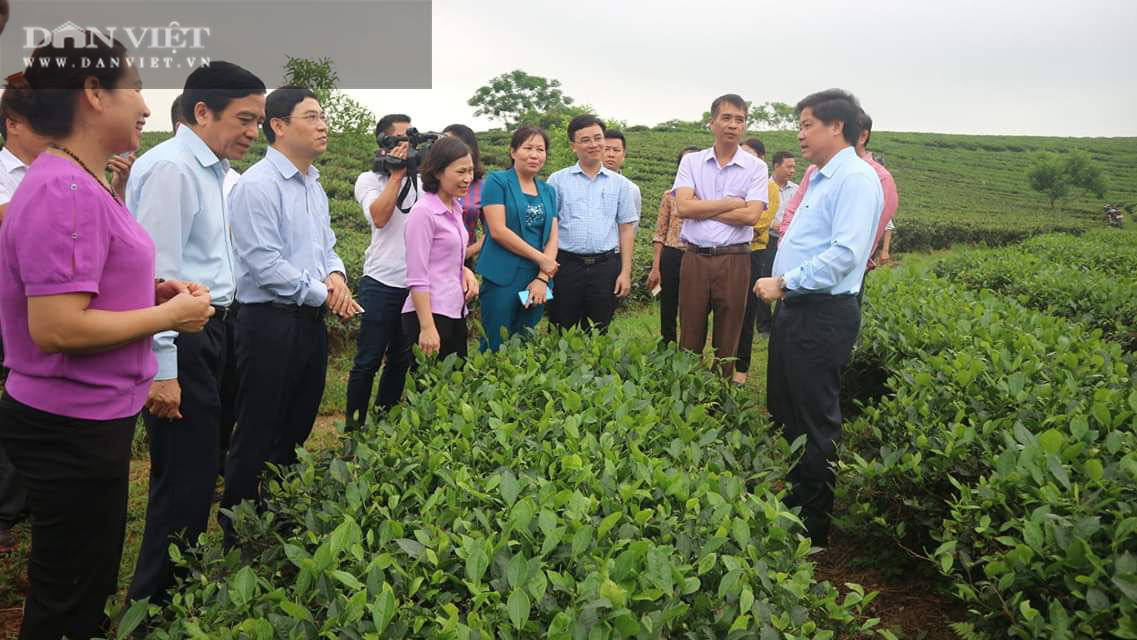 Bí thư Huyện ủy Đồng Hỷ (Thái Nguyên): Do áp đặt chủ quan hoặc chưa nhận thức đầy đủ sự chỉ đạo - Ảnh 2.