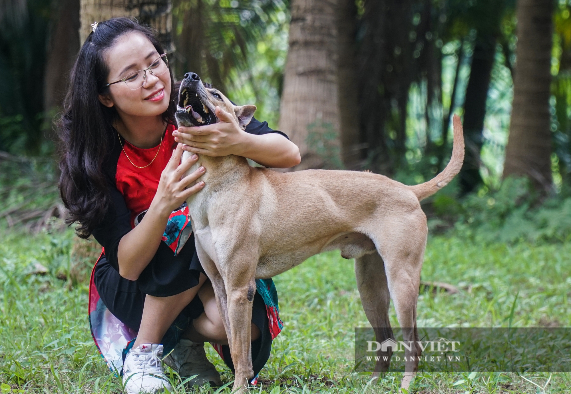 Giá trị: Sở hữu một chú chó Phú Quốc không chỉ mang lại niềm vui và tình cảm đến cho gia đình, mà còn là một khoảng trống tinh thần và giá trị của cuộc sống.