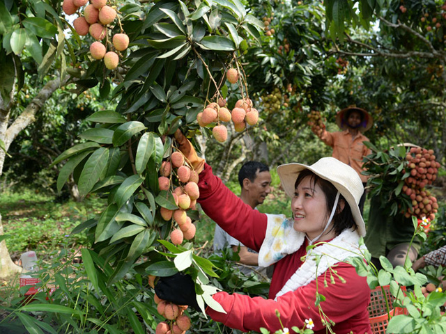 Bắc Giang đứng đầu cả nước về tốc độ tăng trưởng, là điểm sáng thực hiện &quot;mục tiêu kép&quot; của Chính phủ - Ảnh 2.