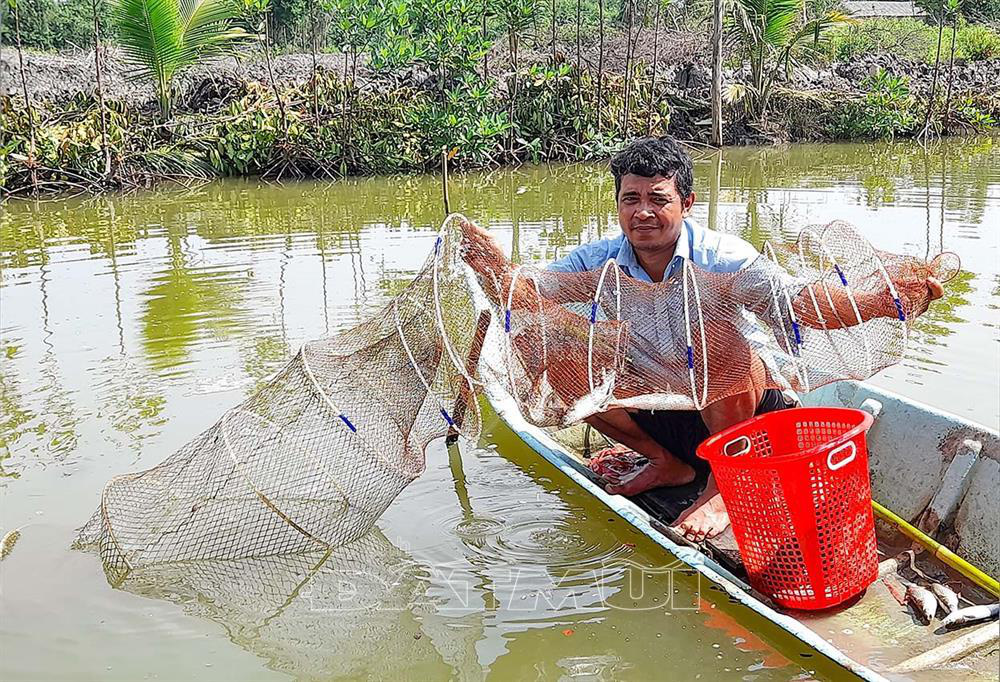 Cà Mau: Thả cá đối mục trong ao nuôi tôm sú, bất ngờ bắt được hơn 1,5 tấn, nông dân mừng vì bán đắt hàng - Ảnh 2.