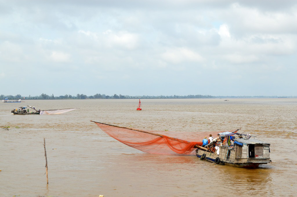 An Giang: Mùa cá ra sông lớn, mới bắt được cá linh, cá mè vinh, cá he, còn cá kết, cá leo hổng thấy đâu - Ảnh 3.