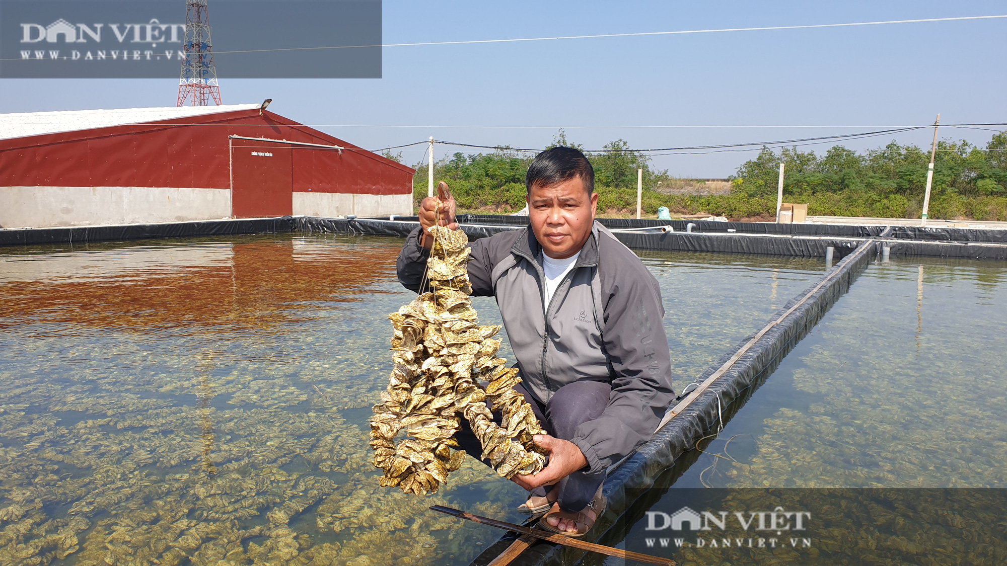 Ninh Bình: Nuôi loại ấu trùng trong làn nước xanh nè, lão nông thành tỷ phú trong vòng mấy tháng - Ảnh 4.