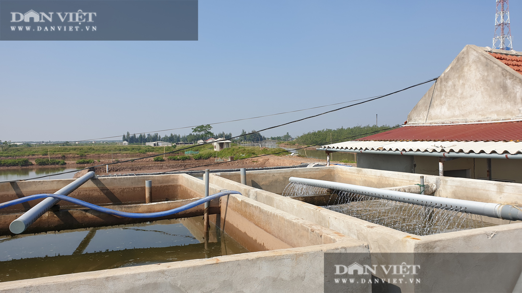 Ninh Bình: Nuôi loại ấu trùng trong làn nước xanh nè, lão nông thành tỷ phú trong vòng mấy tháng - Ảnh 5.