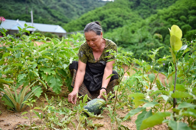 Cuộc sống mới sau lũ quét kinh hoàng ở bản Sa Ná  - Ảnh 1.