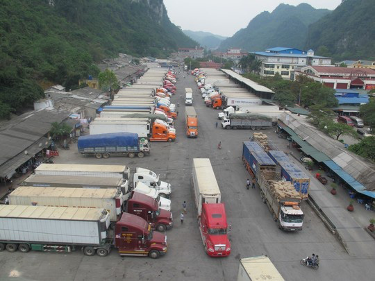 Thanh long rớt giá thảm hại, Long An đề nghị Bộ Công thương hỗ trợ tiêu thụ - Ảnh 1.