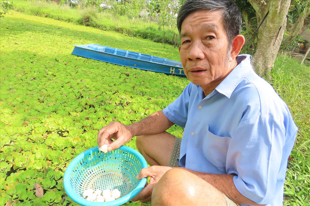 Nuôi loài ốc bươu đen, lão nông miền Tây đổi đời - Ảnh 27.