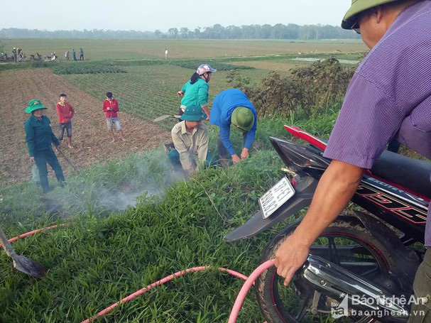 Nông dân Thanh Chương dùng khói ống bô xe máy bắt chuột - Ảnh 2.