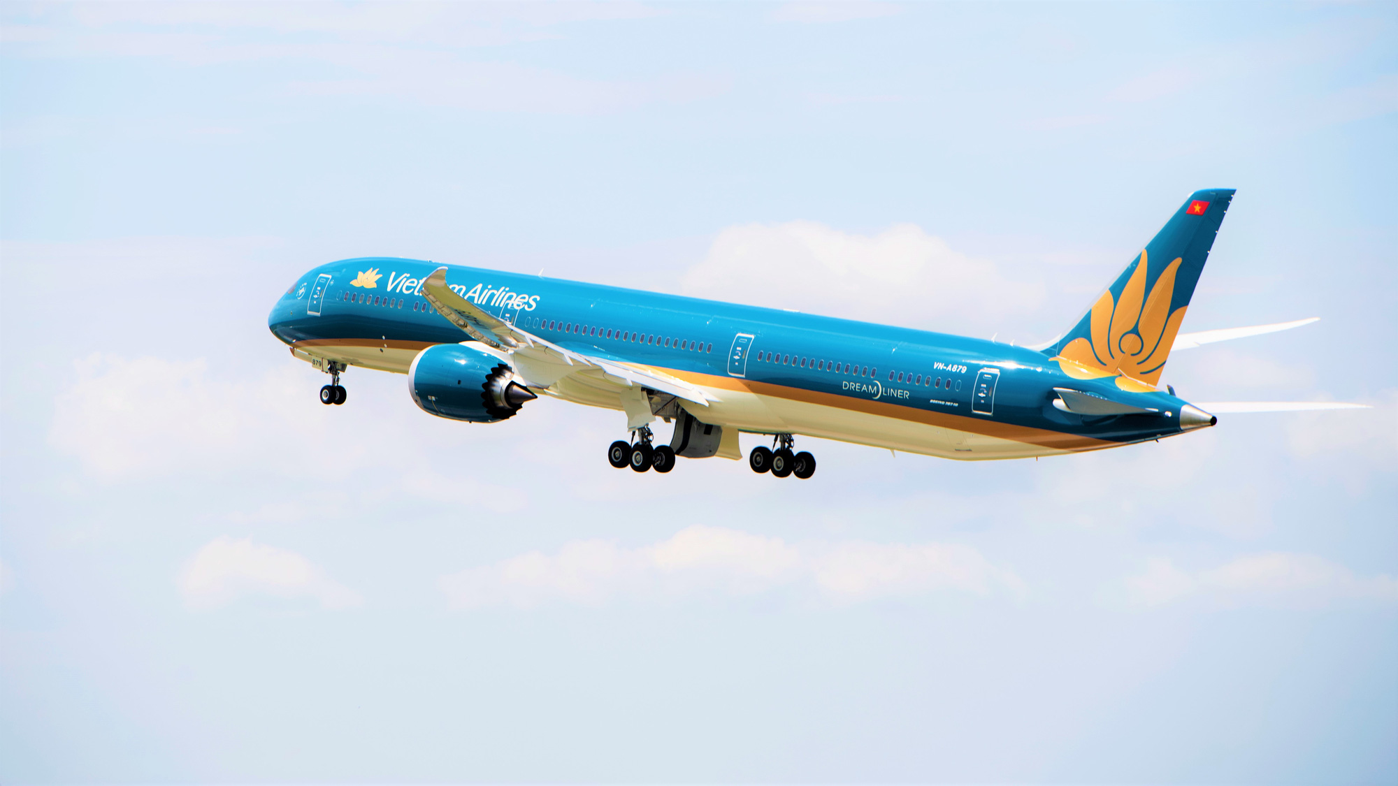 Giữa dịch virus corona: Một hành khách bất ngờ đột tử trên chuyến bay Vietnam Airlines - Ảnh 1.