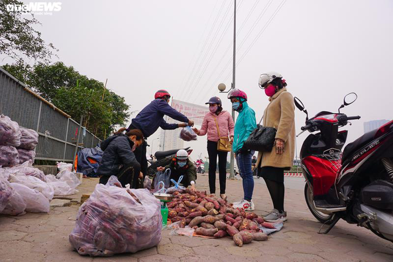 Khoai lang ngổn ngang trên vỉa hè Hà Nội, chờ khách &quot;giải cứu&quot; - Ảnh 2.