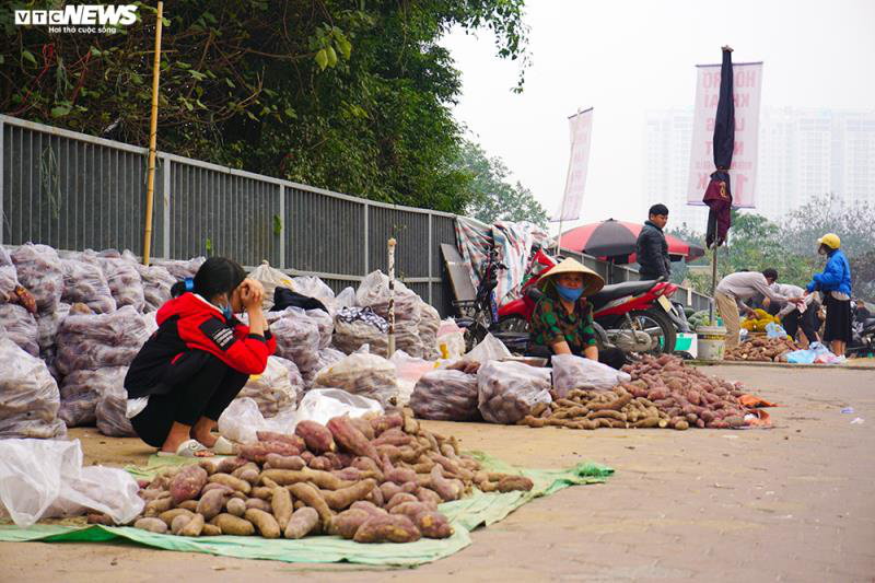 Khoai lang ngổn ngang trên vỉa hè Hà Nội, chờ khách &quot;giải cứu&quot; - Ảnh 5.