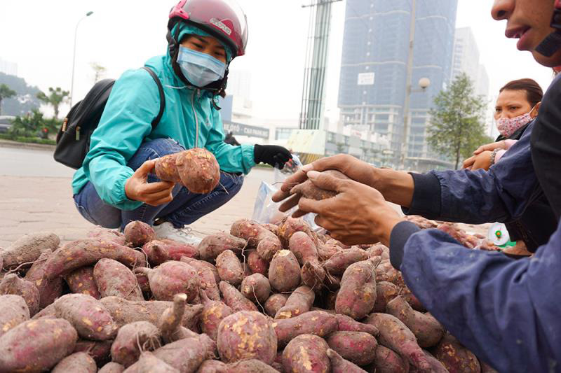 Khoai lang ngổn ngang trên vỉa hè Hà Nội, chờ khách &quot;giải cứu&quot; - Ảnh 6.