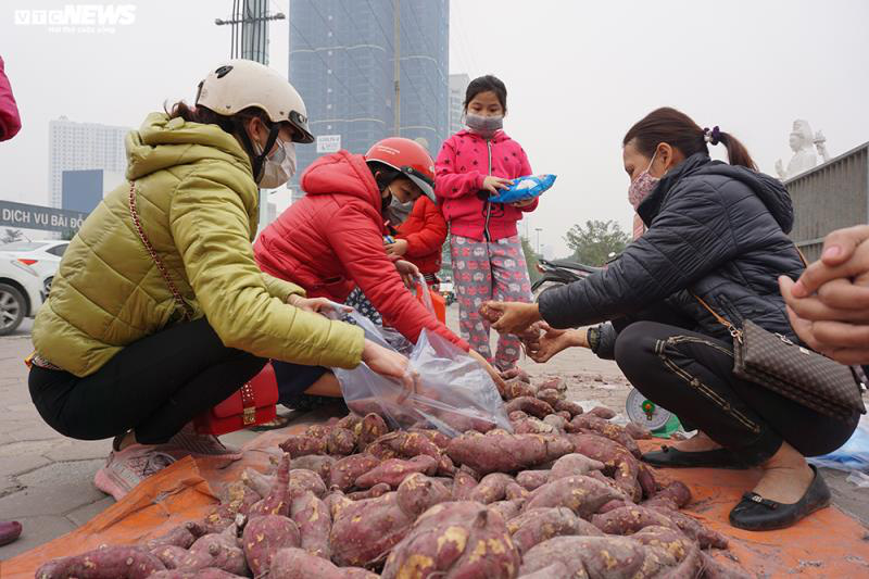 Khoai lang ngổn ngang trên vỉa hè Hà Nội, chờ khách &quot;giải cứu&quot; - Ảnh 3.