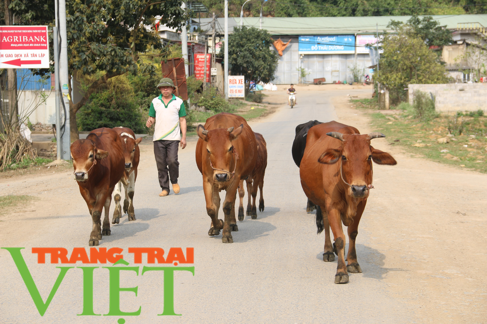 Tân Lập ngày càng khởi sắc nhờ chương trình nông thôn mới - Ảnh 1.