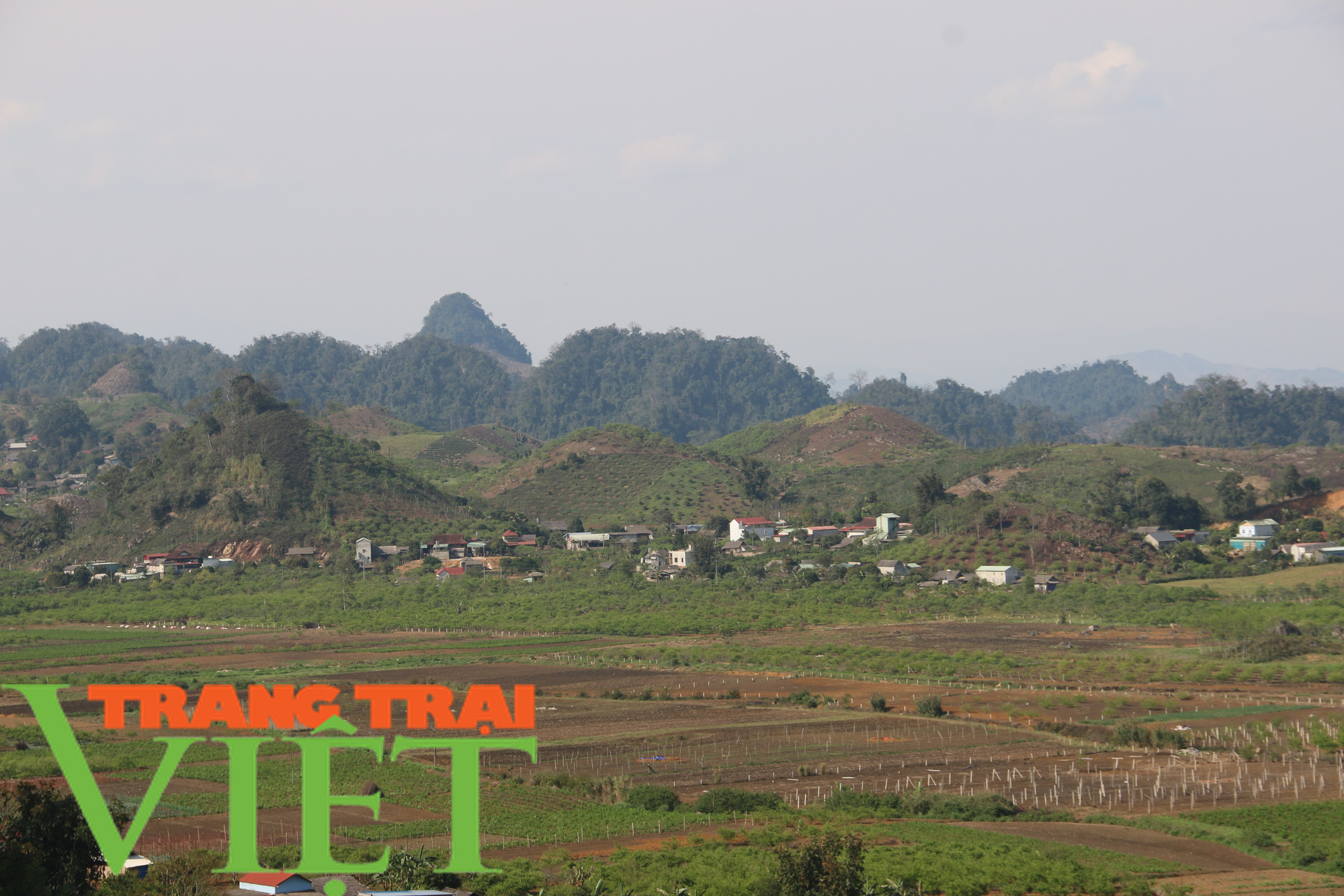 Tân Lập ngày càng khởi sắc nhờ chương trình nông thôn mới - Ảnh 4.