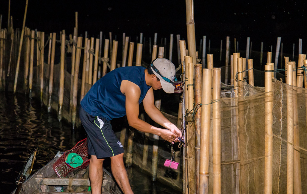 Đầm phá Tam Giang bội thu tôm cá tươi ngon là vì điều này đây - Ảnh 3.