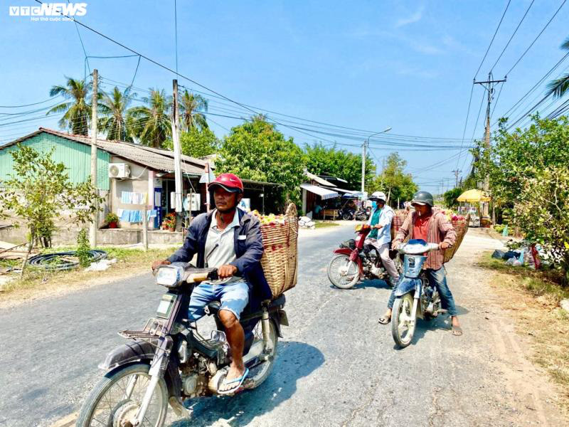 Dịch corona: Doanh nghiệp Việt chấp nhận thua lỗ để hỗ trợ nông sản - Ảnh 2.