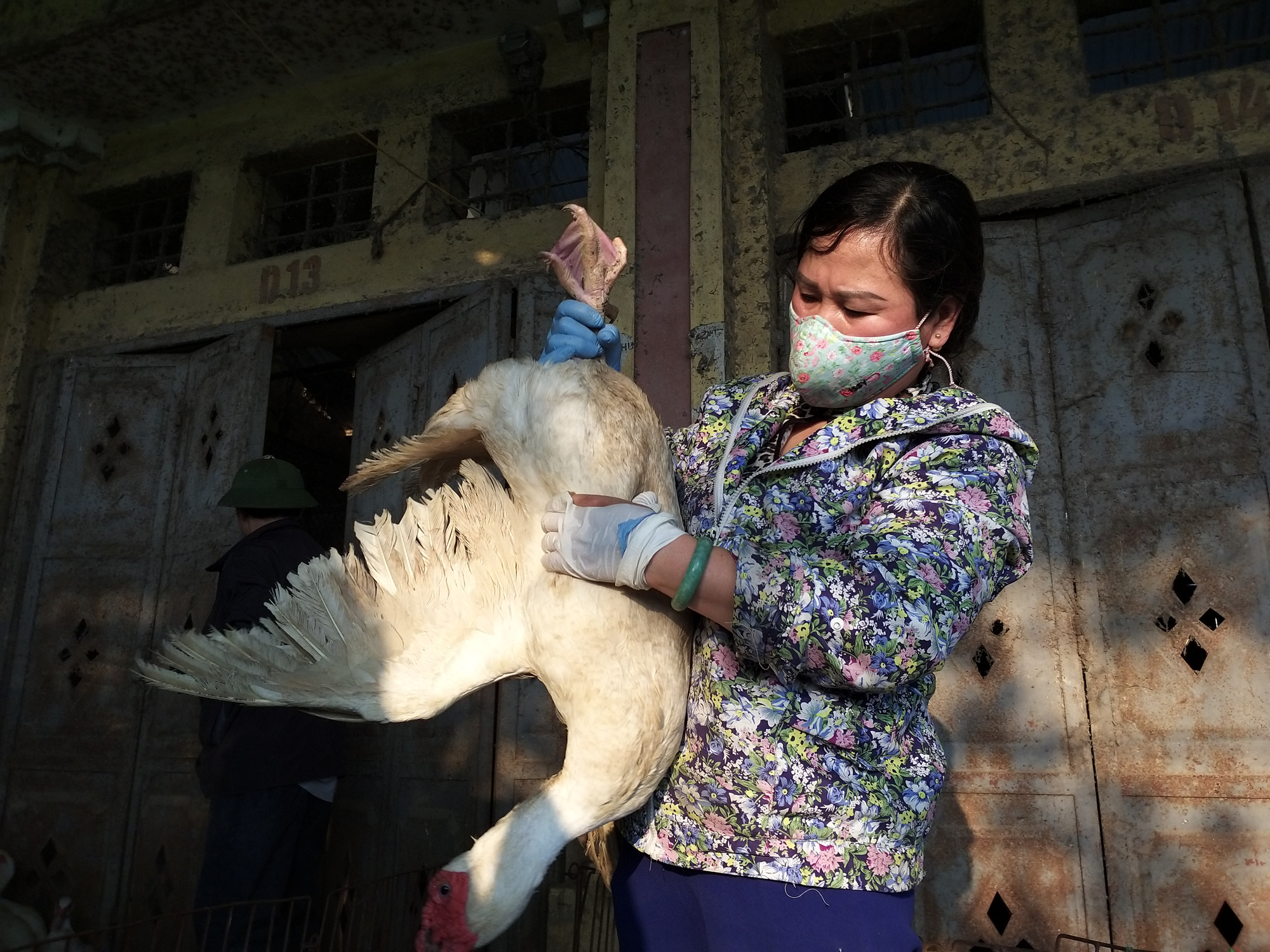 &quot;Gà, vịt vừa rẻ, vừa ngon, chúng tôi ăn thoải mái hàng ngày&quot; - Ảnh 2.