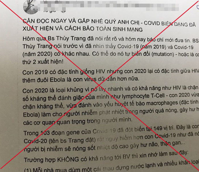 Triệu tập một phụ nữ tung tin sai sự thật về dịch Covid-19 - Ảnh 1.