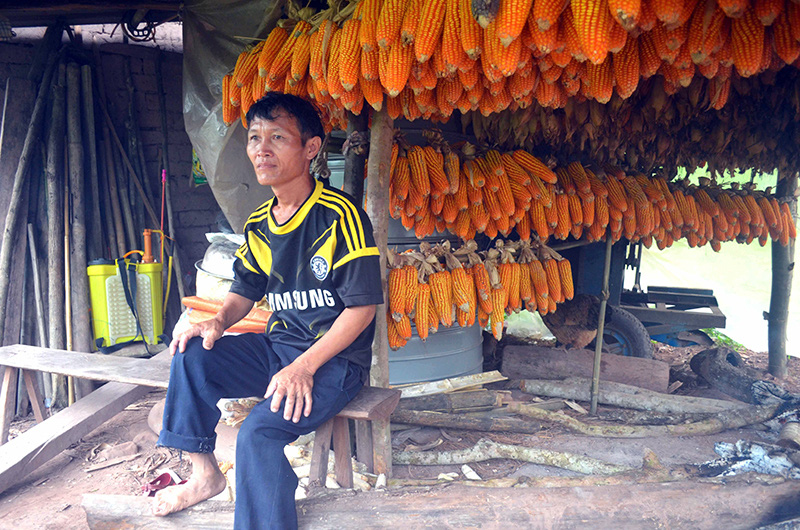 Kỳ bí khu rừng thiêng 300ha lâm tặc không dám chặt 1 cây - Ảnh 1.