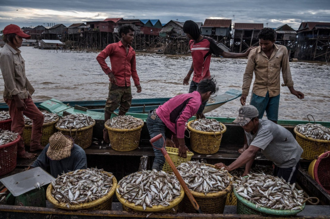 Biển Hồ kêu cứu - Ảnh 1.