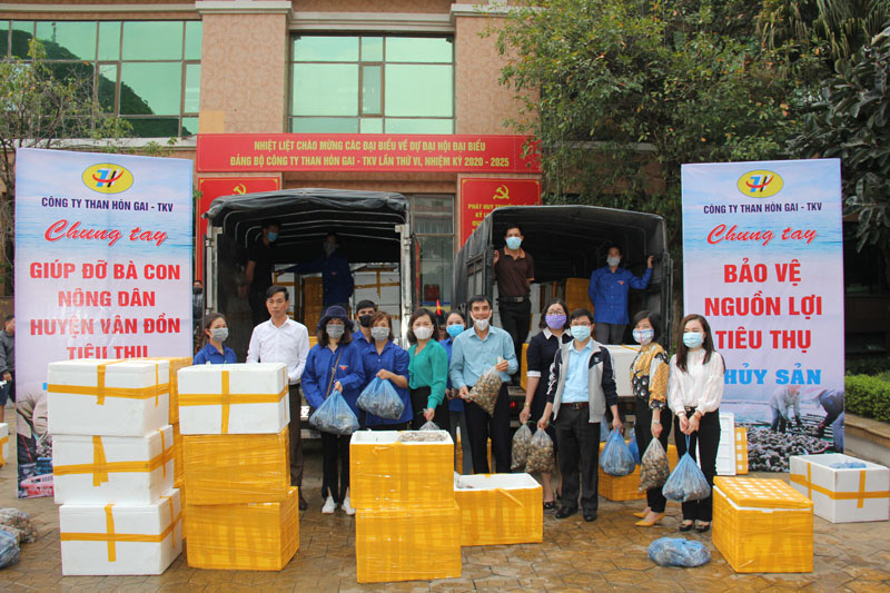 TKV hỗ trợ ngư dân Quảng Ninh tiêu thụ hơn 11 tấn nhuyễn thể - Ảnh 2.